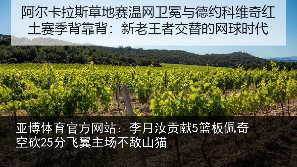 亚博体育官方网站:李月汝贡献5篮板佩奇空砍25分飞翼主场不敌山猫
