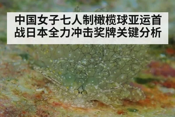 中国女子七人制橄榄球亚运首战日本全力冲击奖牌关键分析